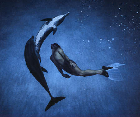Dolphin dancing
